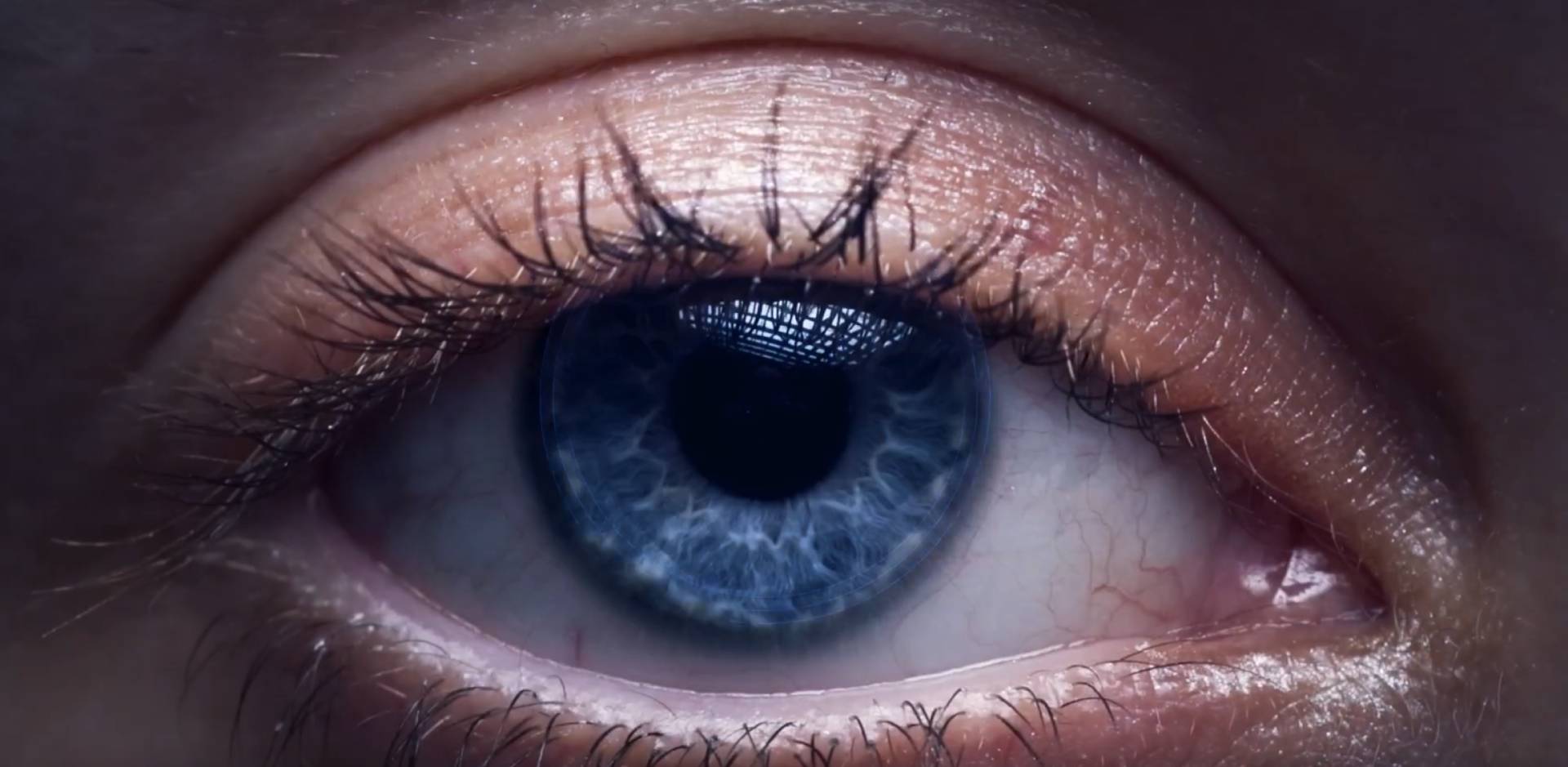 Xerox Proficio PX300 y PX500 Nuevas Prensas de Produccion Digita Cribsa Document Services