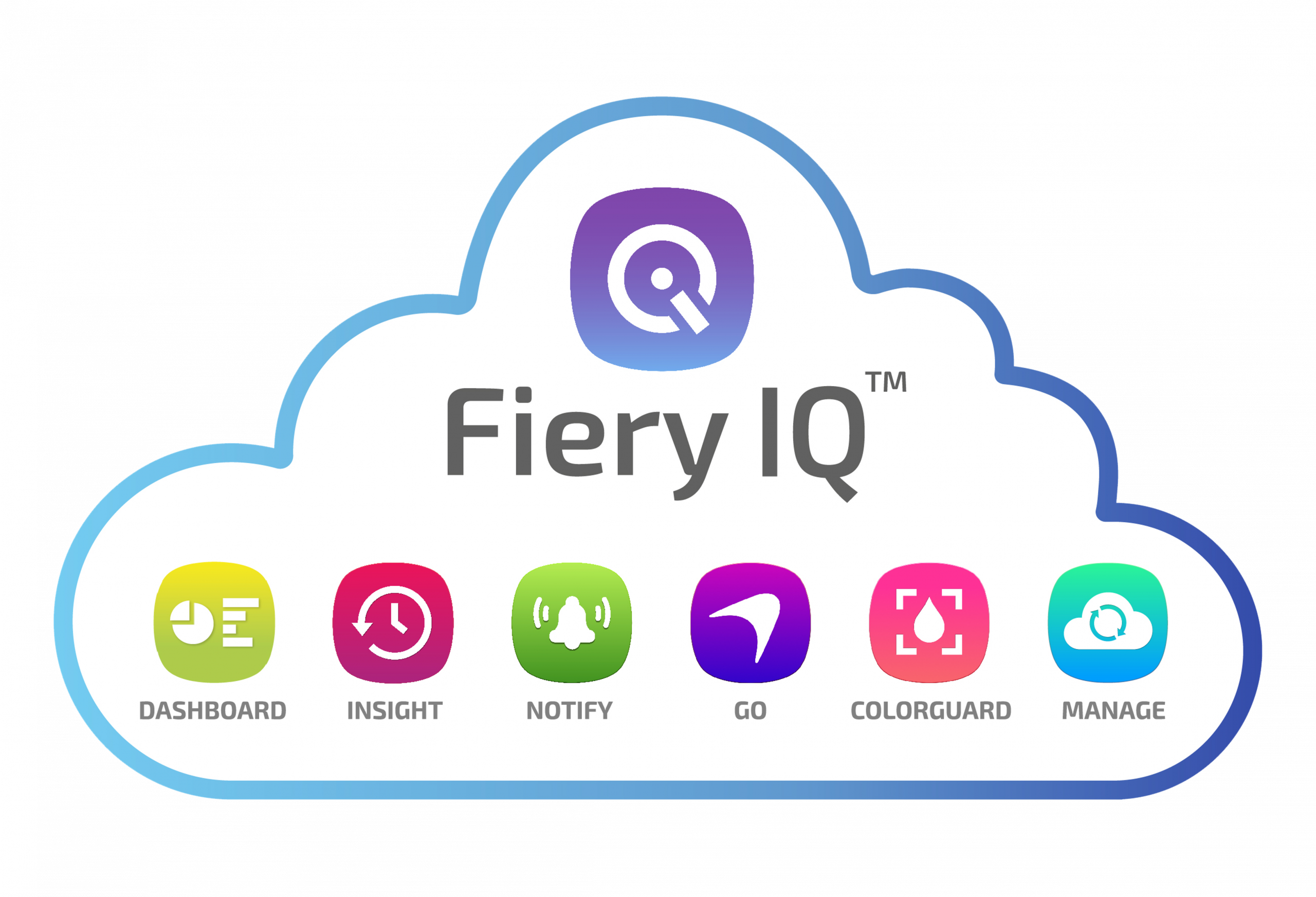 Fiery Platinum Partner Fiery IQ Cloud Image scaled Fiery Platinum Partner